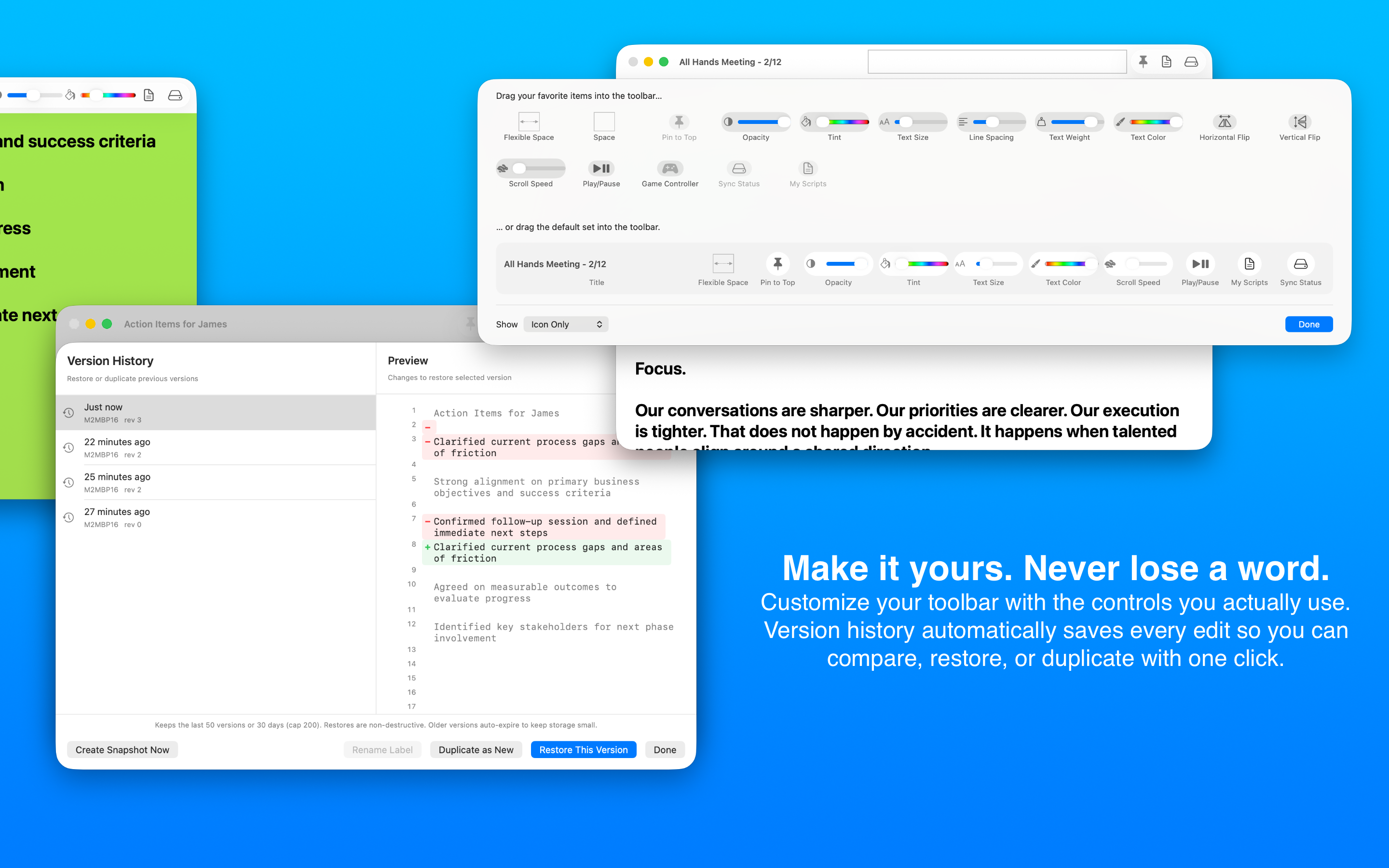 Telepane toolbar customization and version history